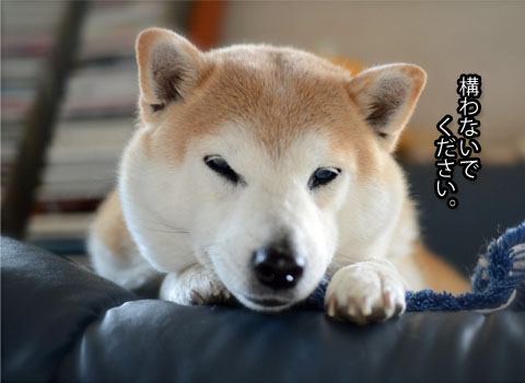27日ブログ3.jpg