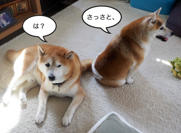 13日夜ブログ４
