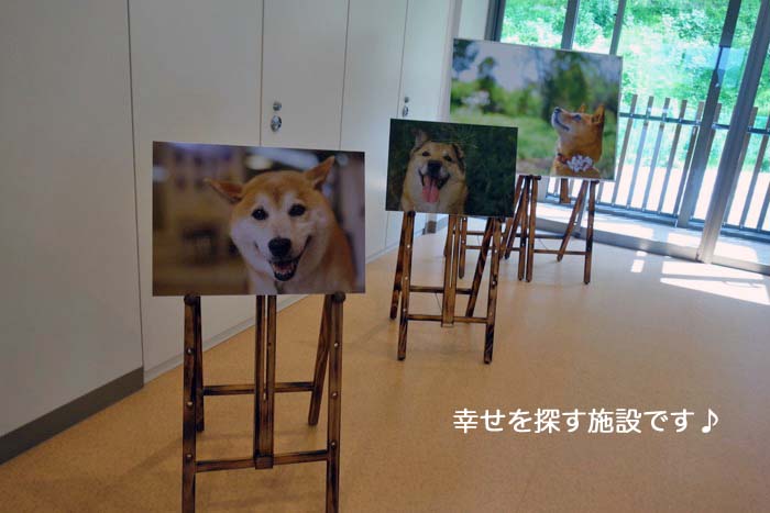 26日午後ブログ９