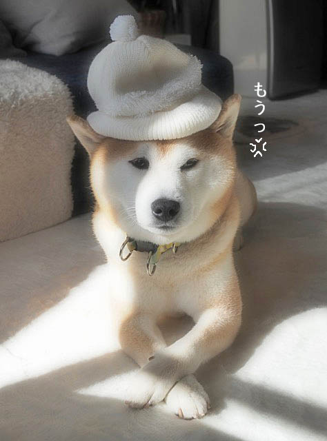 15日ブログ5