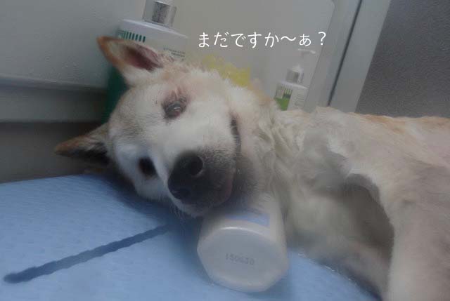 23日ブログ3