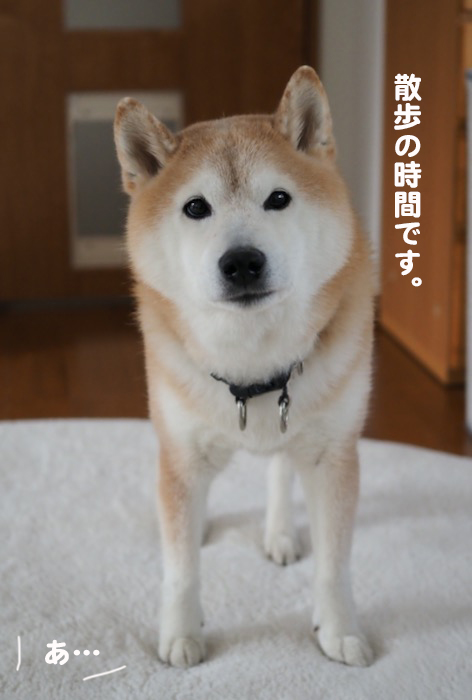 2日夕ブログ４
