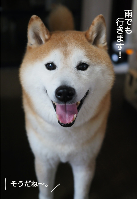 18日夜ブログ３
