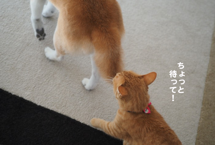 20日ブログ５
