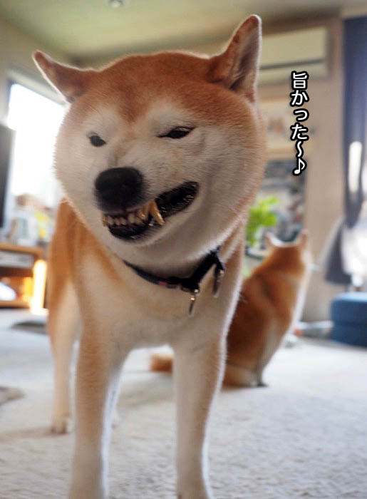 16日夕ブログ１２