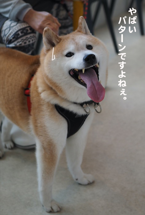 23日夕ブログ６
