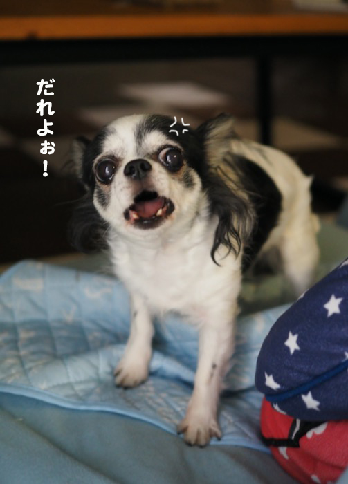 1日夕ブログ５