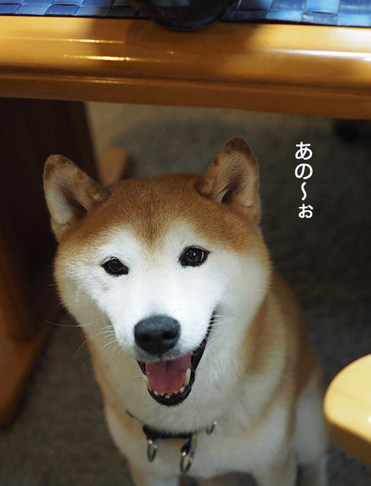 24日夜ブログ１