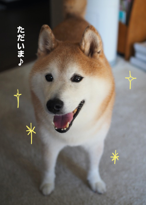 27日ブログ2