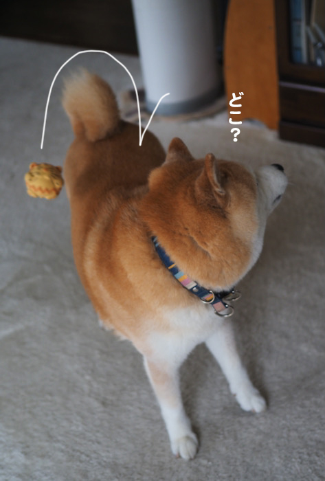 23日夕ブログ６