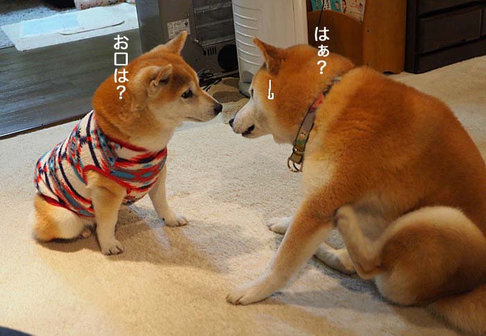 28日ブログ５
