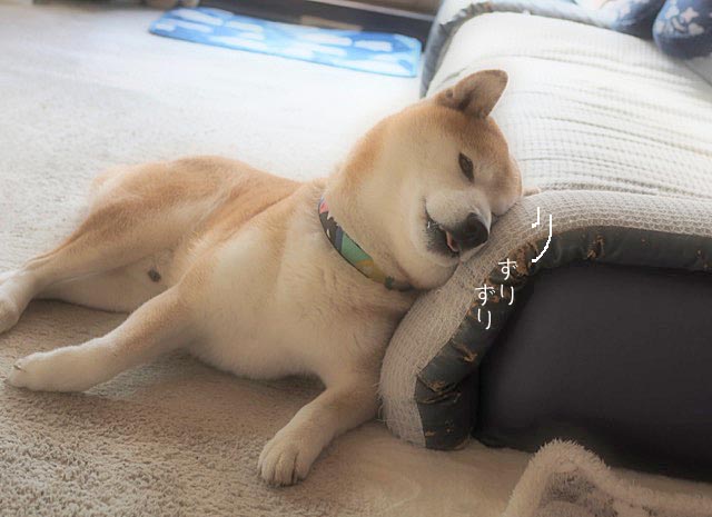 7日ブログ3