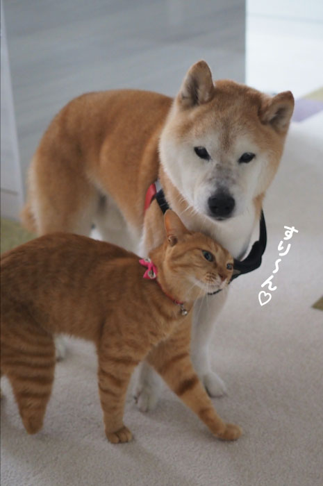 12日ブログ１