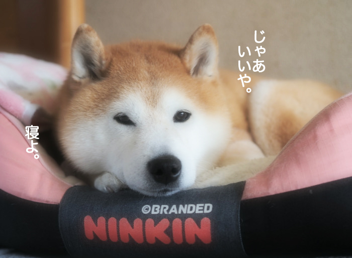 1日夜ブログ１０