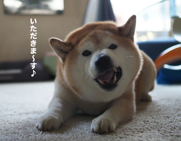 10日ブログ３