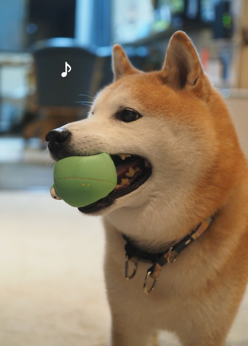 13日夕ブログ２
