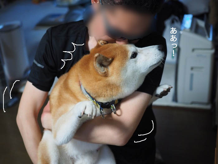 19日ブログ７