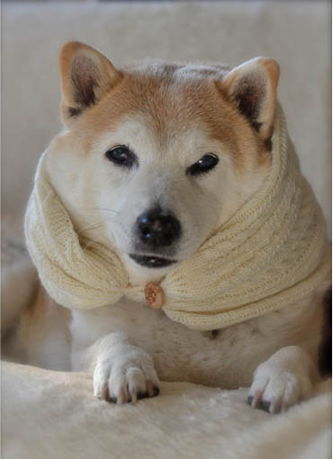 24日ブログ4.jpg
