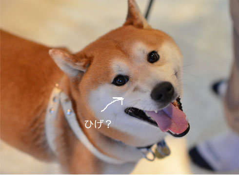 27日ブログ2.jpg