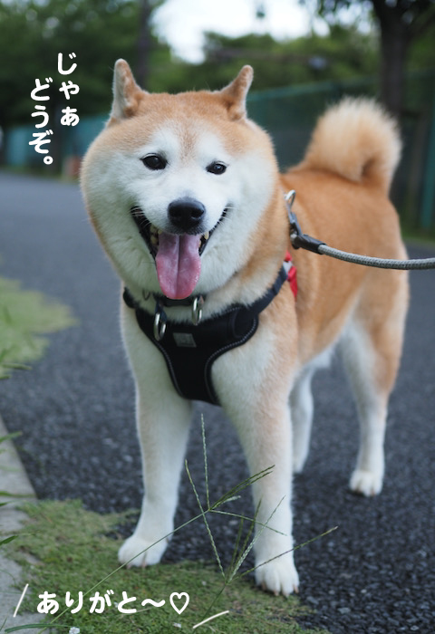 23日ブログ４