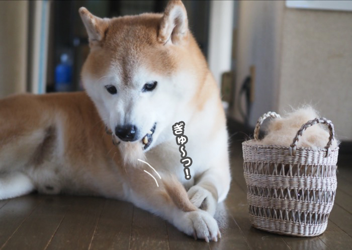 18日夕ブログ７