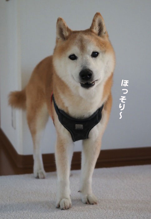 6日夕ブログ３