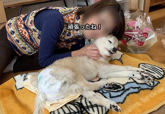 29日ブログ３