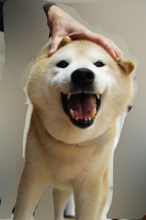 15日ブログ５
