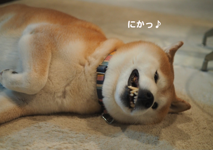 11日夜ブログ３