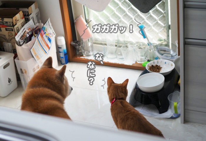 6日ブログ２