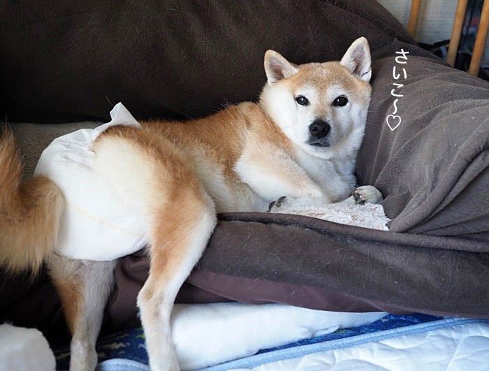 6日ブログ５