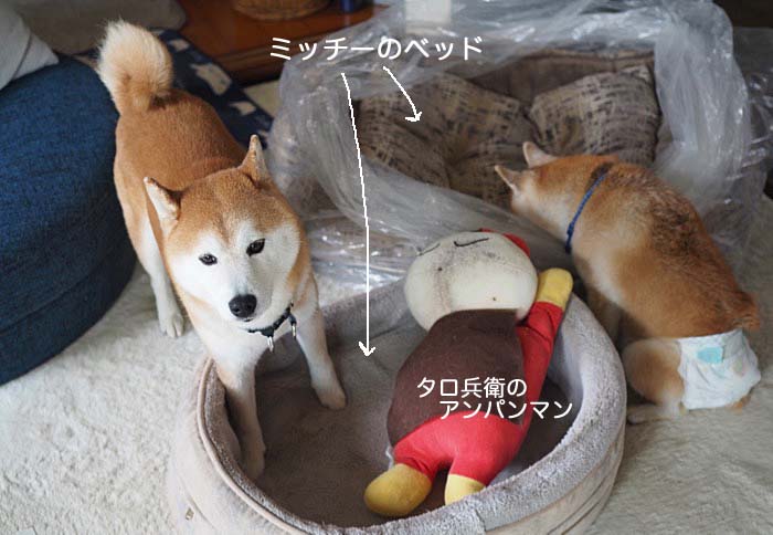 24日ブログ3