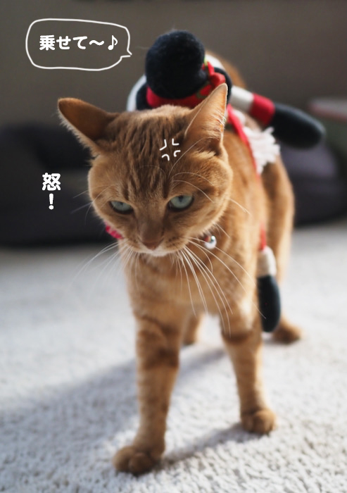 20日夜ブログ５