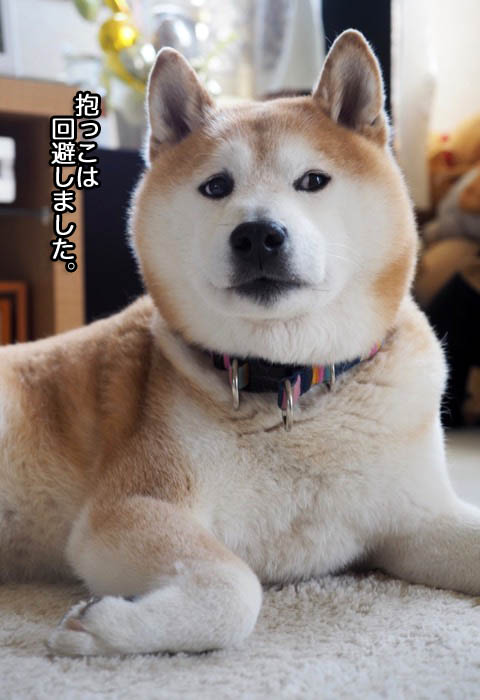 7日夜ブログ２
