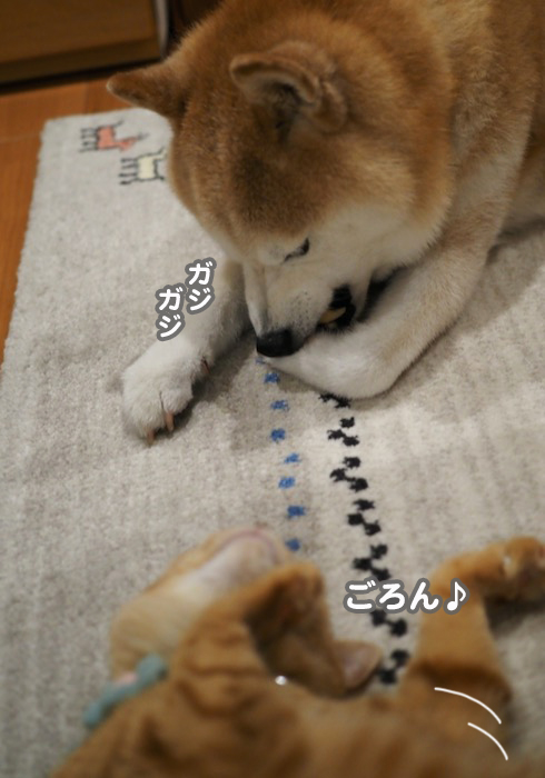 22日夕ブログ３
