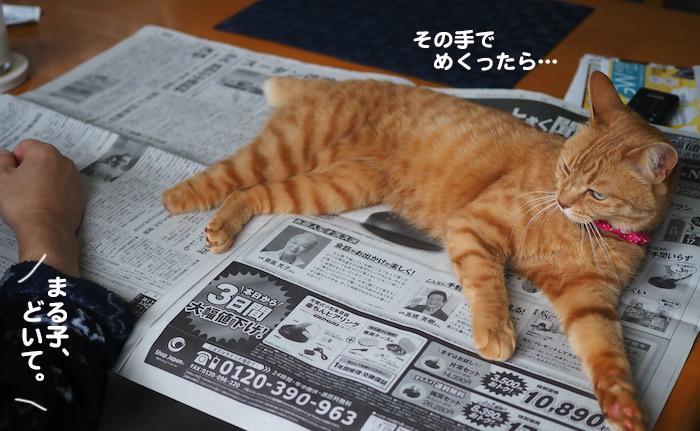 22日ブログ４