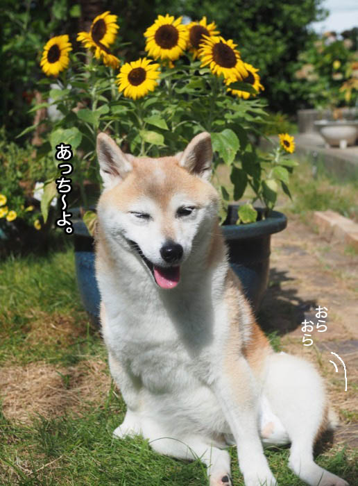 6日夕ブログ５