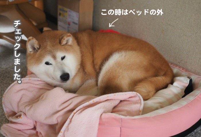 16日夕ブログ１０