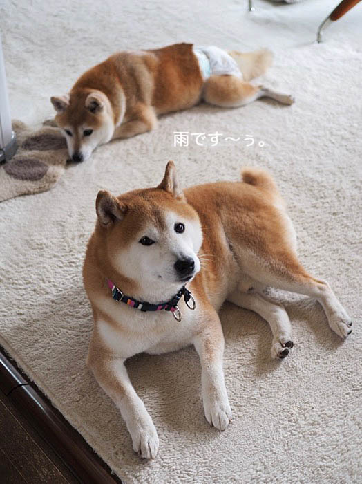 16日ブログ２