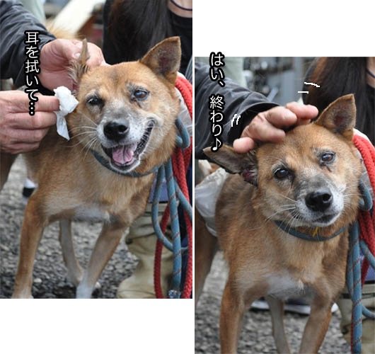 23日ブログ5.jpg