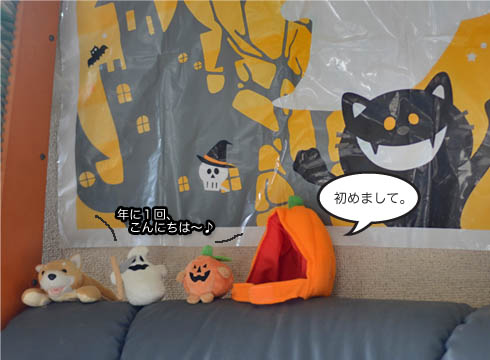 26日ブログ5.jpg