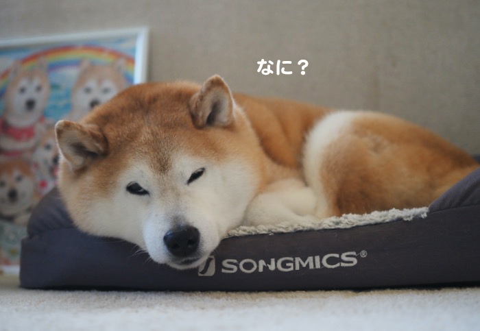27日夕ブログ６