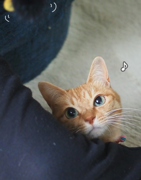 15日夕ブログ５