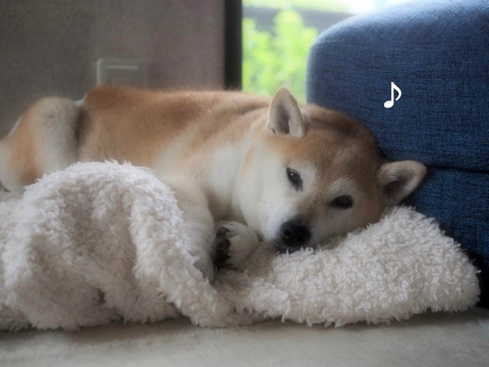 22日ブログ４