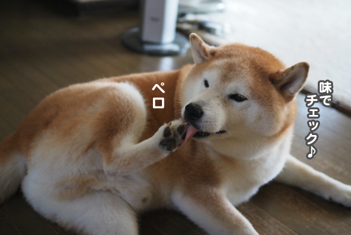 30日ブログ５