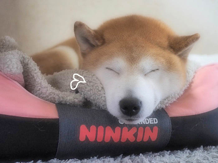 23日午後ブログ３
