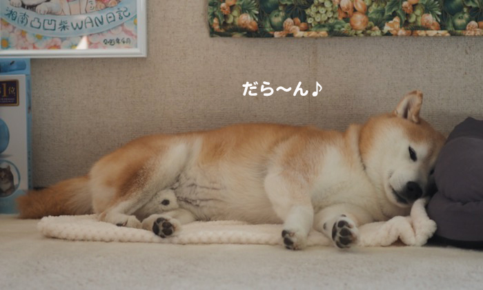 15日夕ブログ4
