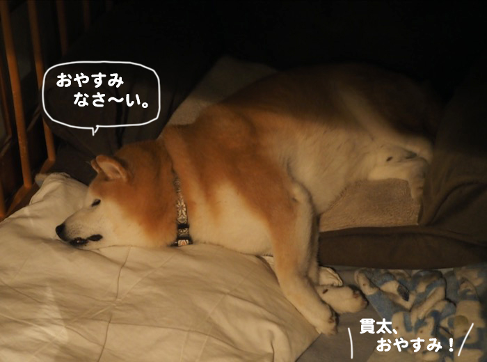 1日のブログ１