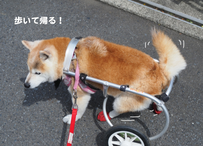 2日夕ブログ７