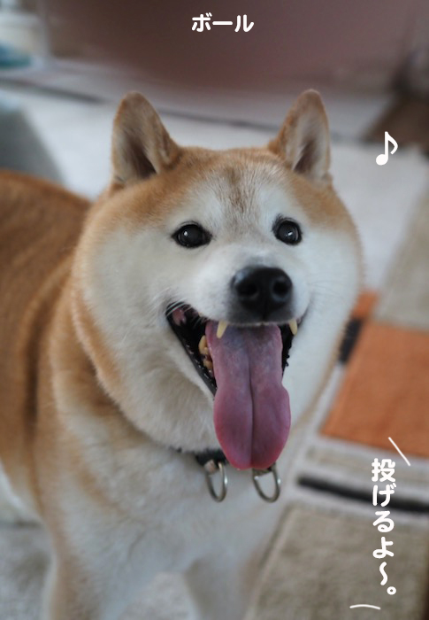 29日夕ブログ３